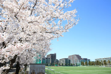 中学入試〔第３回〕合格発表・入学手続について