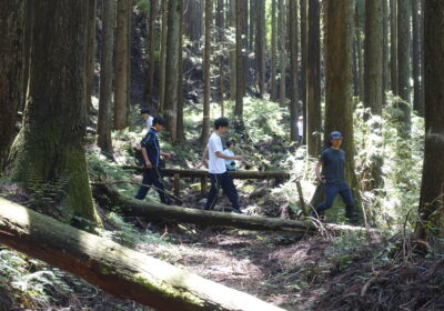 寒川源流ウォーキング